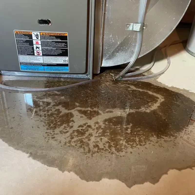 Appliance Leak Cleanup in Redgranite, WI